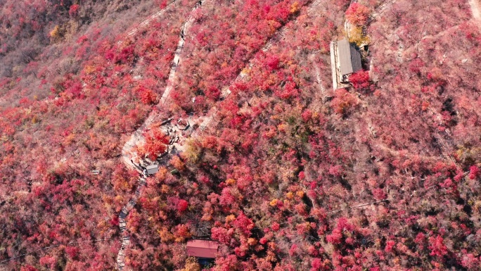 北京房山坡峰岭红叶秋景航拍