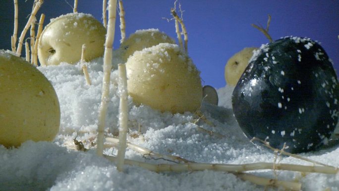新鲜梨子从雪山滚落变冻梨