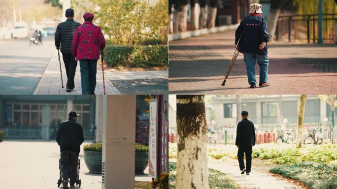 老人背影 老龄化社会 养老 关爱老人