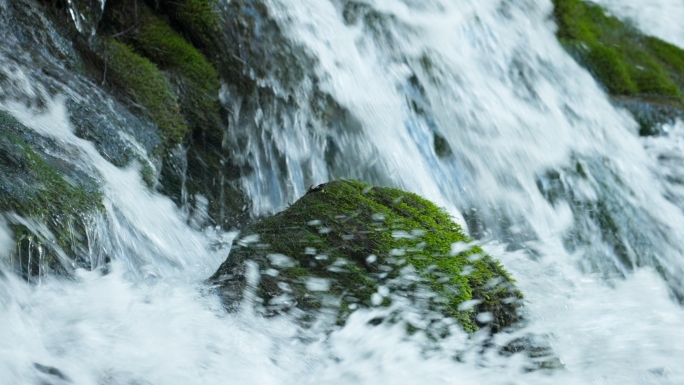 水泉水春风水流溪水山水滴水源春天青苔森林