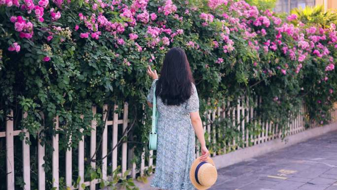 年轻的女人走在玫瑰花墙的街道上