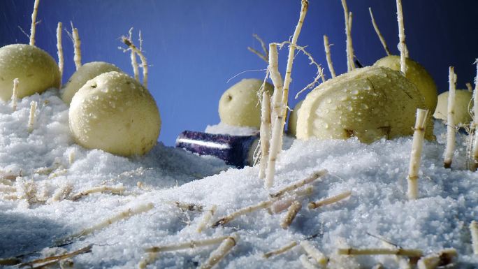 折耳根梨甘蔗雪山下雪场景搭建