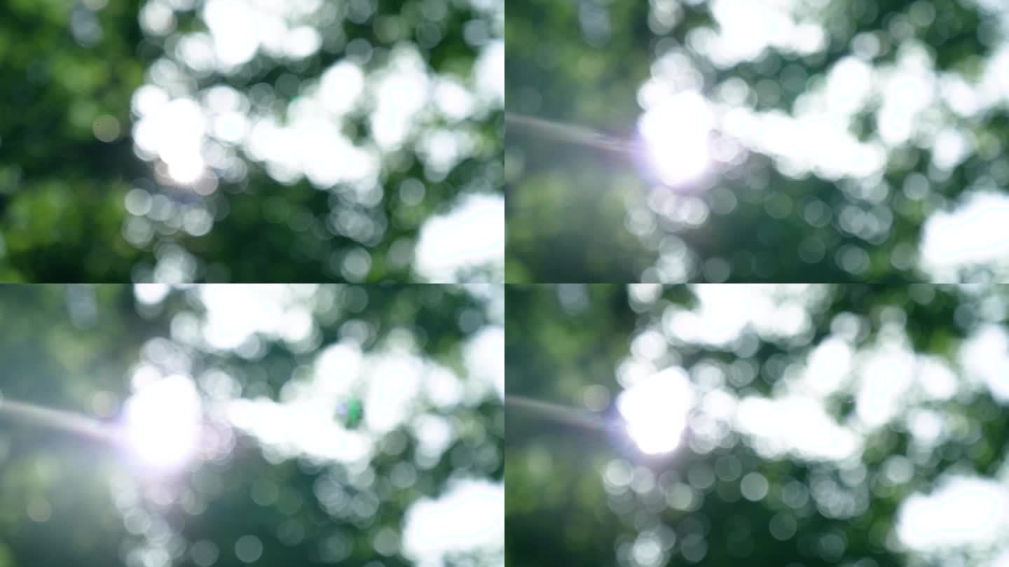 阳光透过树叶唯美光斑光晕视频素材