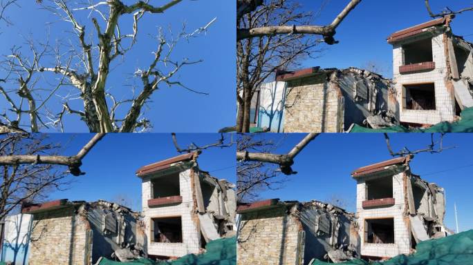 树木在冬天枯萎，房屋被遗弃和倒塌。