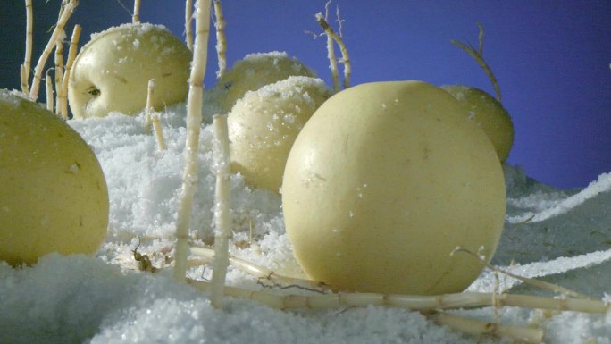 梨从雪山上滚下来