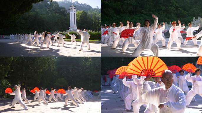 整齐的公园老年太极队