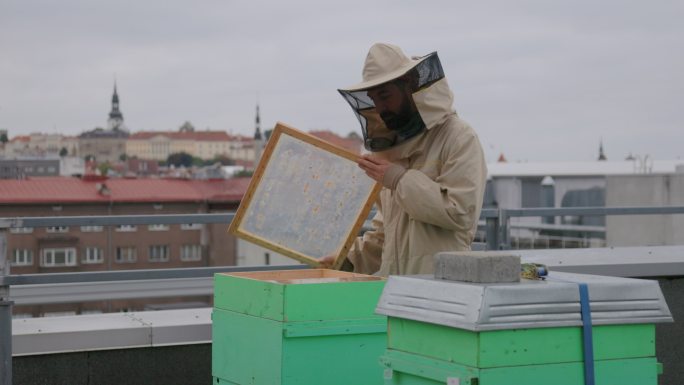 城市养蜂人在城市屋顶处理蜂箱