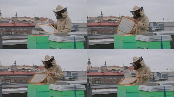 城市养蜂人在城市屋顶处理蜂箱