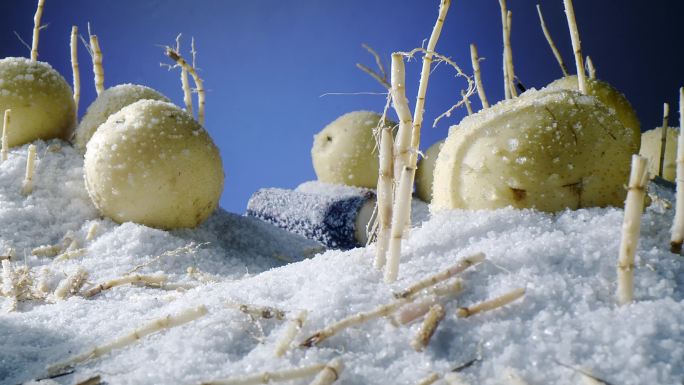 折耳根梨甘蔗雪山场景搭建