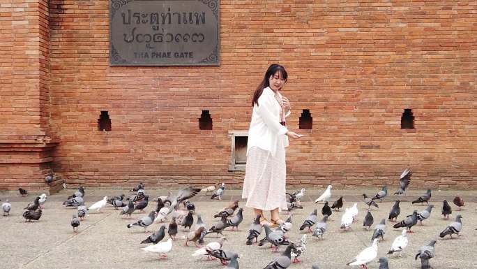 泰国清迈省一名亚洲女子与一群鸽子同行