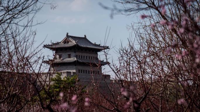 山西大同古城东城墙城楼桃花延时