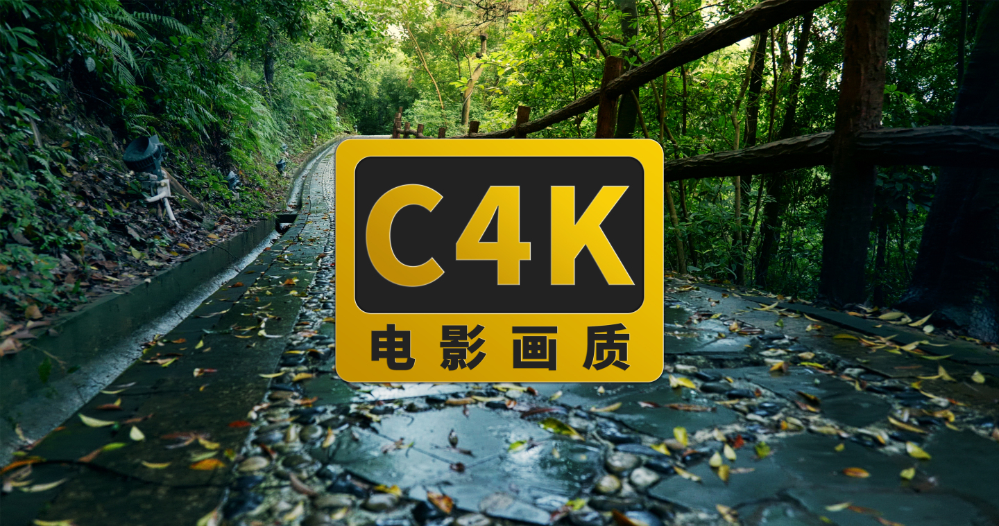 山间石板小路4K素材