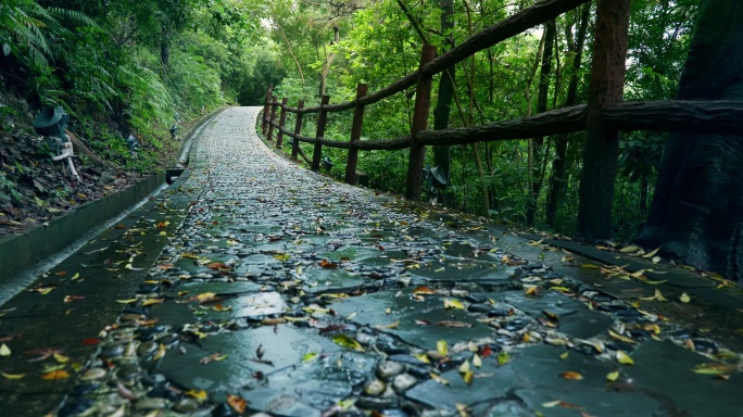 山间石板小路4K素材