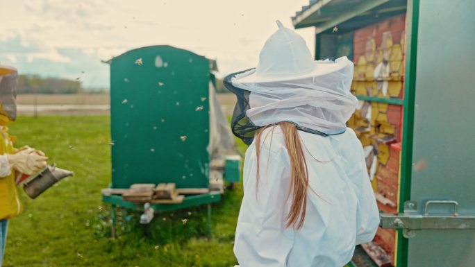 穿着防护服的养蜂人，蜂箱前有飞翔的蜜蜂