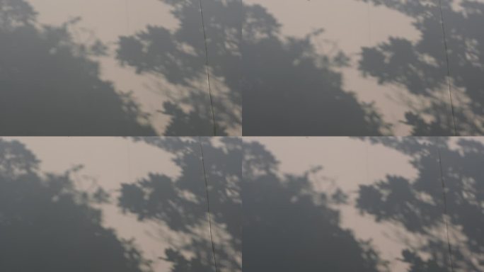 【4K实拍】14s 白墙上的树影