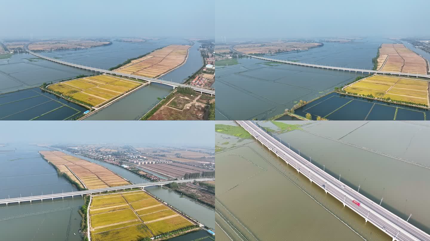 生态湿地 河中养殖 岛上稻田