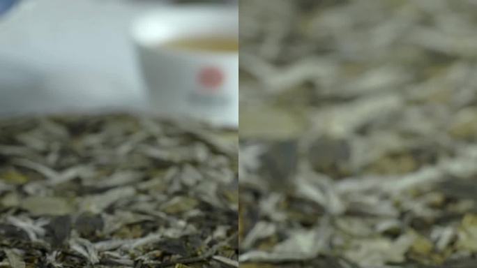 福鼎白茶 白牡丹 茶饼