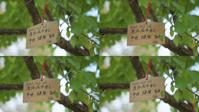 （8K实拍）许愿树祈福吊坠吊牌特写意境