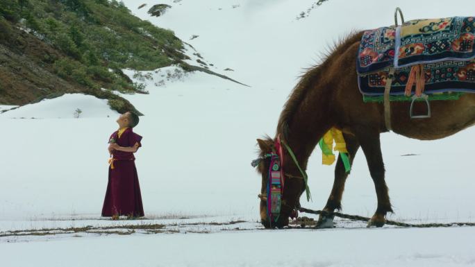 小活佛雪地仰望远处