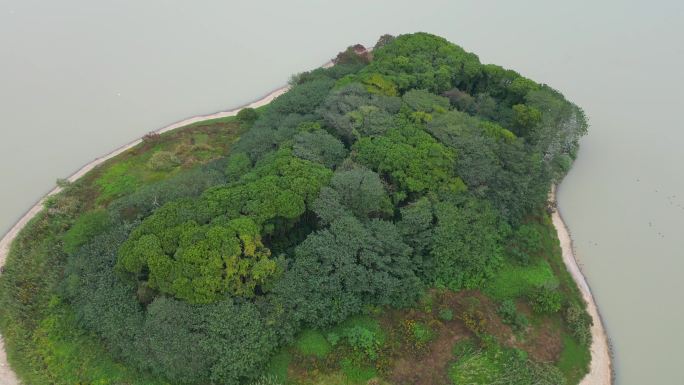 湖中小岛航拍