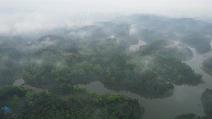 农材雾景