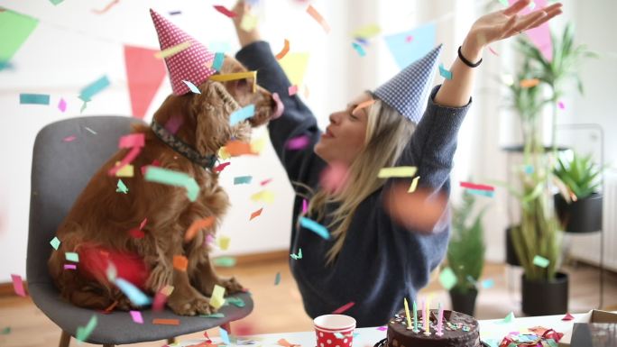 庆祝狗狗的生日主人庆祝狗狗生日彩色纸飘散