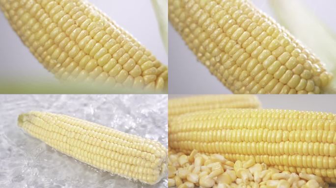 玉米的各种形态拍摄4K