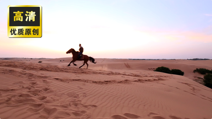 男人沙漠骑马 策马奔腾 自由自在骑马