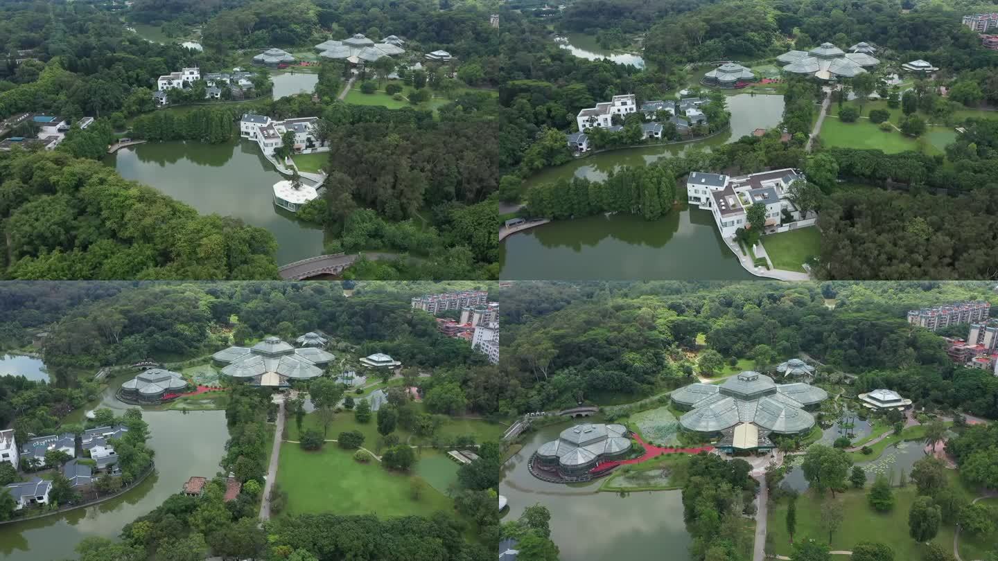 广东华南国家植物园航拍006 2K