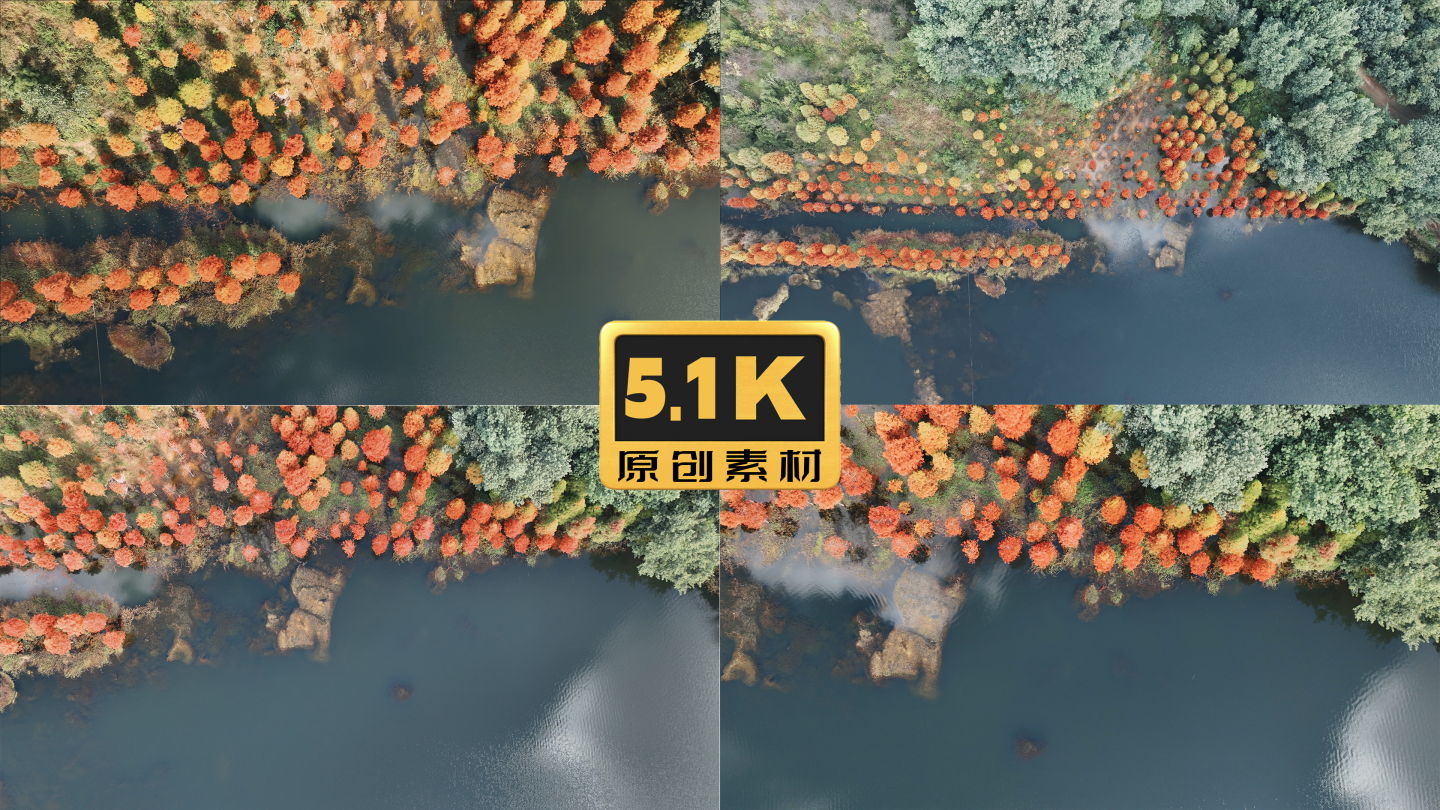 5K-三家村水杉风光航拍，俯瞰水库