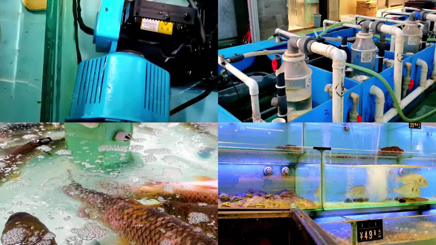 鱼缸制氧机水循环水过滤电子线路控制全自动