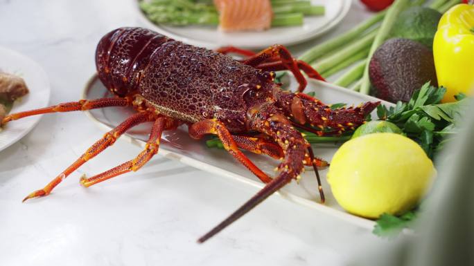 澳洲龙虾 高速 波士顿龙虾 新鲜美食