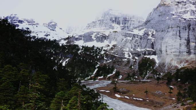 高原雪山森林风光