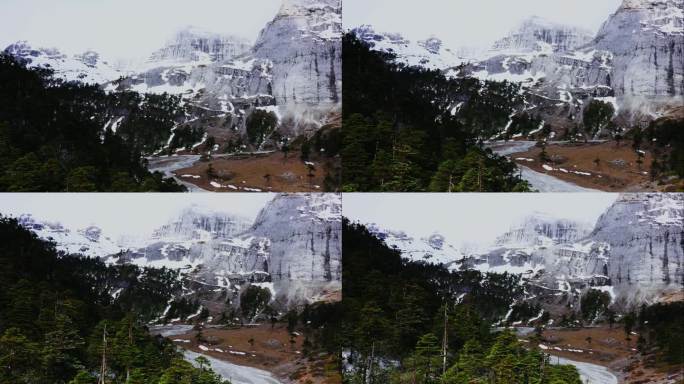 高原雪山森林风光