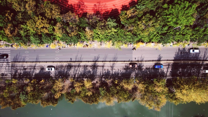 宝象河边道路行驶的车辆