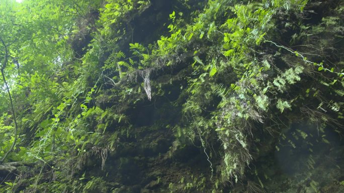 海南马鞍岭火山口实拍