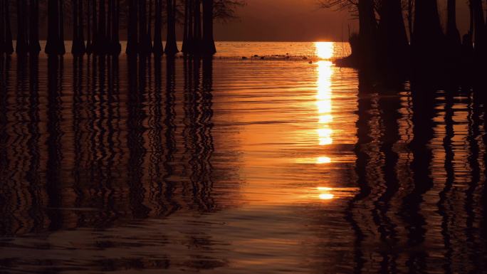 夕阳下湖面水波纹