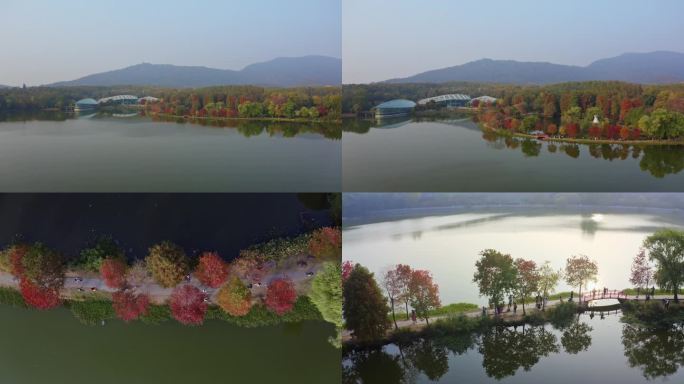 【航拍4K】前湖公园秋景