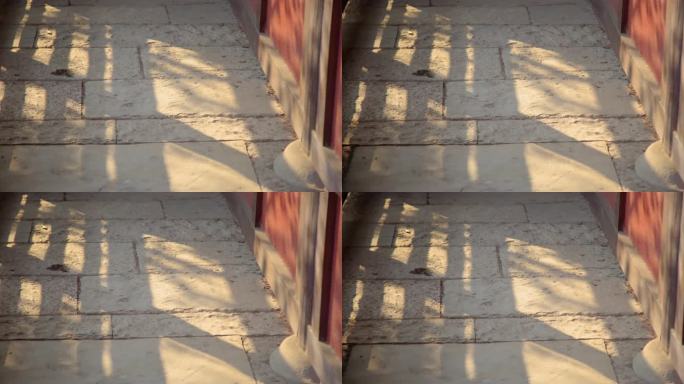 （8K实拍）寺庙走廊倒影光影意境空境头