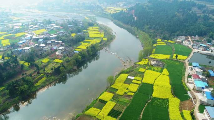 四川春天乡村风景航拍河边油菜花地