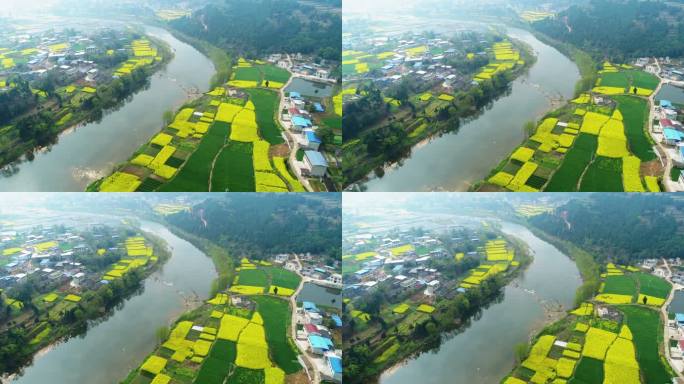 四川春天乡村风景航拍河边油菜花地