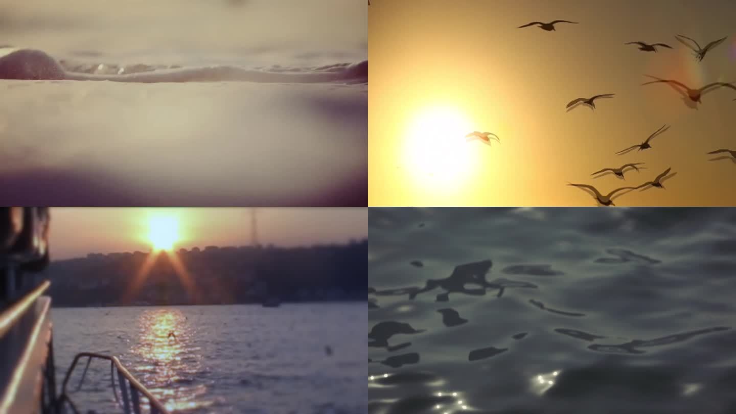 夕阳海边蟹子海鸟海鸥轮船游轮逆光视频