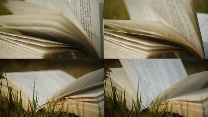 风吹书页