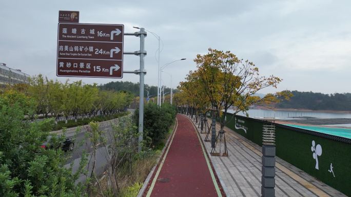 马路人行道路牌黄叶