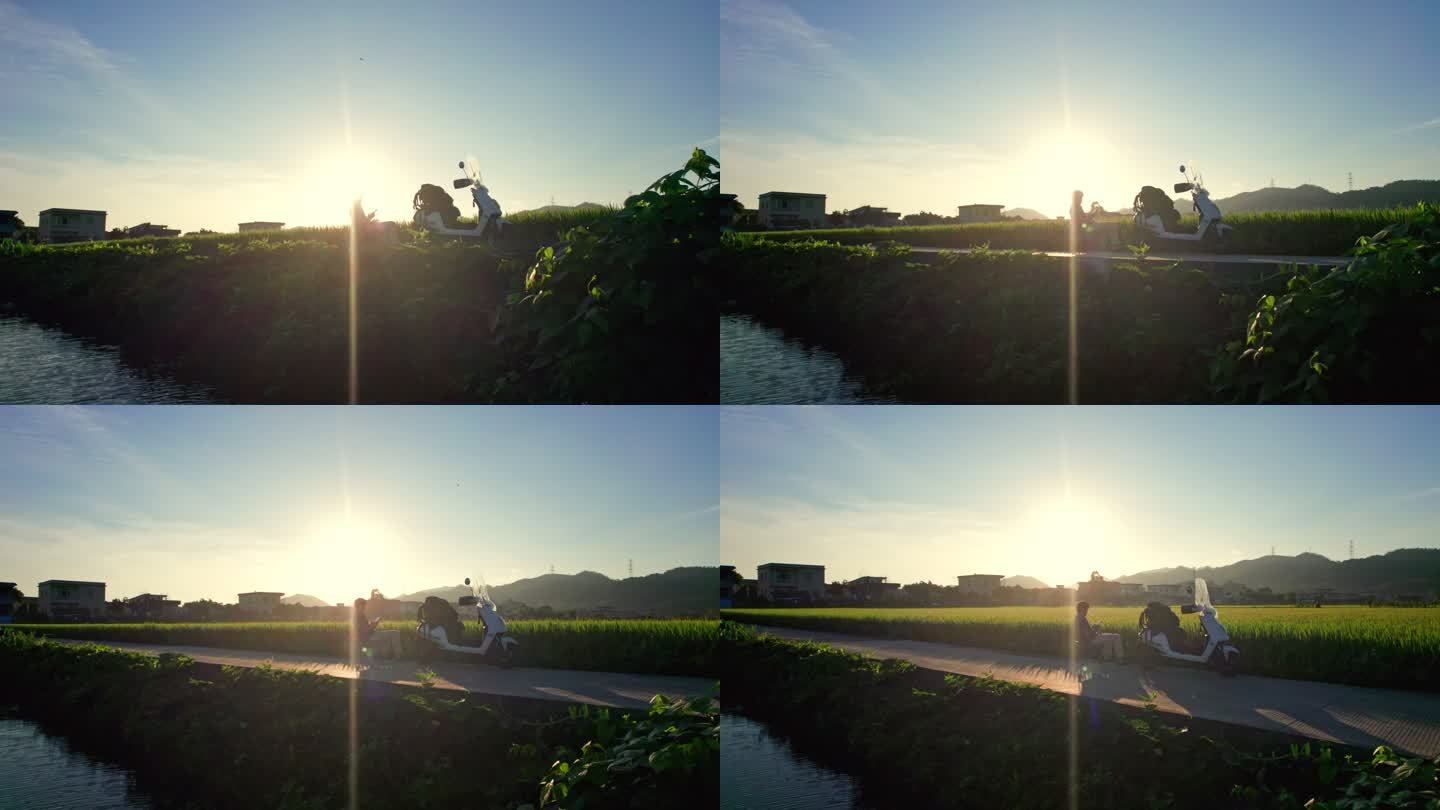 秋日里金色的稻田美丽的乡村田野航拍