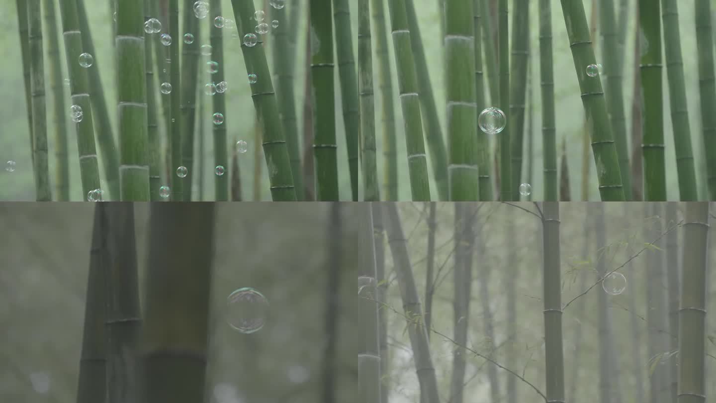 意境清新竹林泡泡生态低碳环保安吉绿水青山