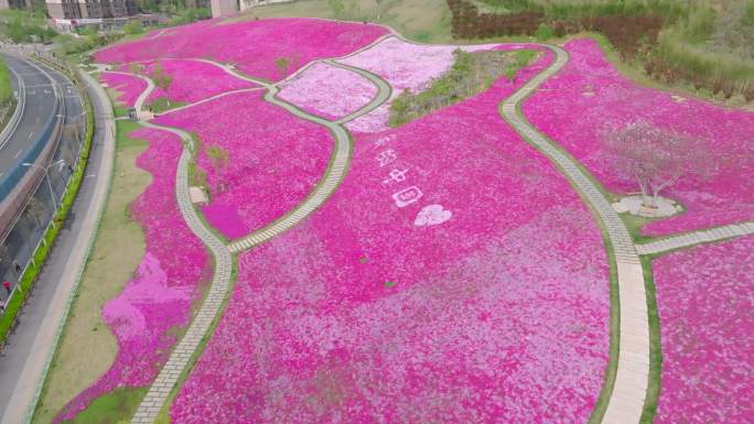 龙洞花海