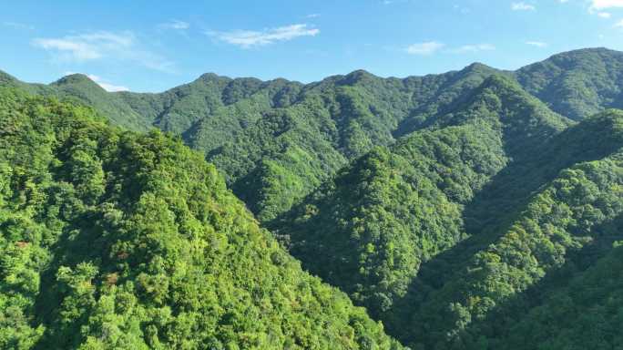 原始森林大山里航拍蓝天白云