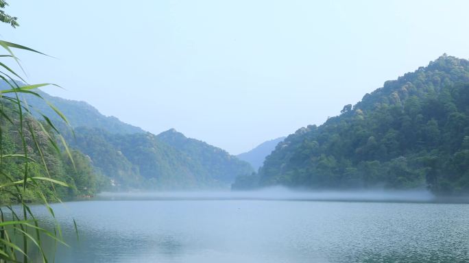 绿水青山东江湖小东江江上晨雾江水河流