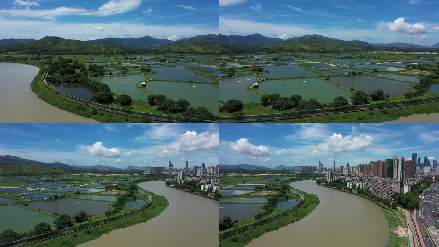 深圳河与香港米铺